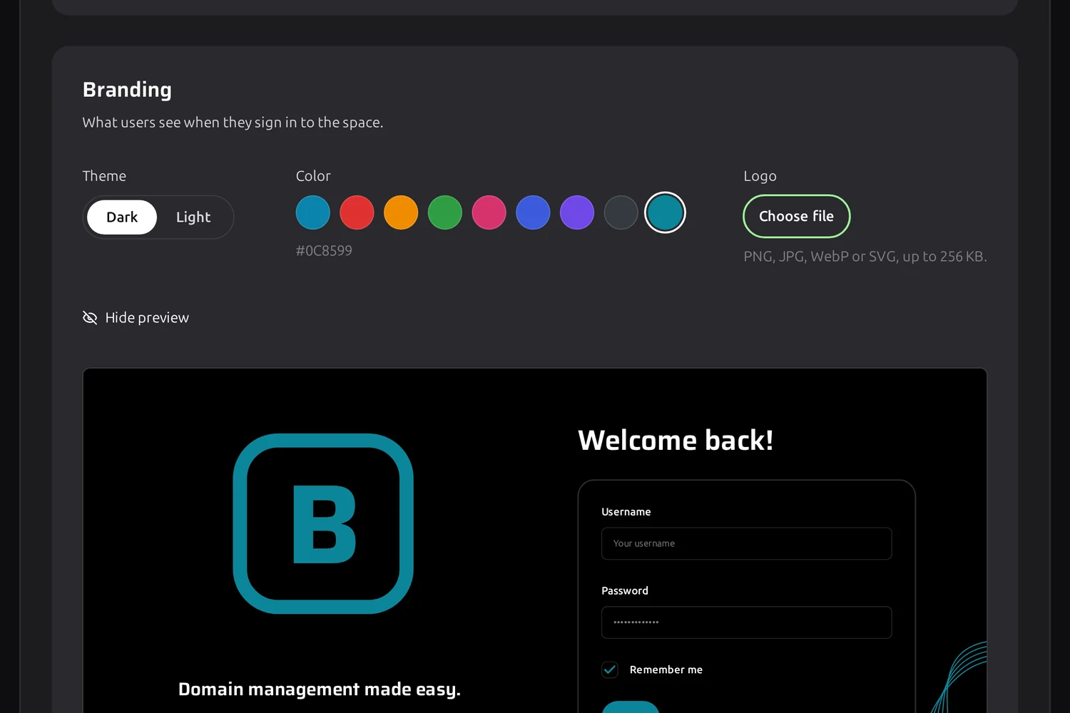 Space branding settings with a preview of the login page